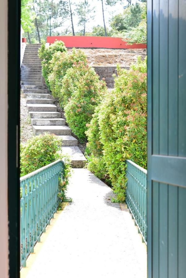 Quinta Villa Arrabida Vila Fresca Exteriér fotografie